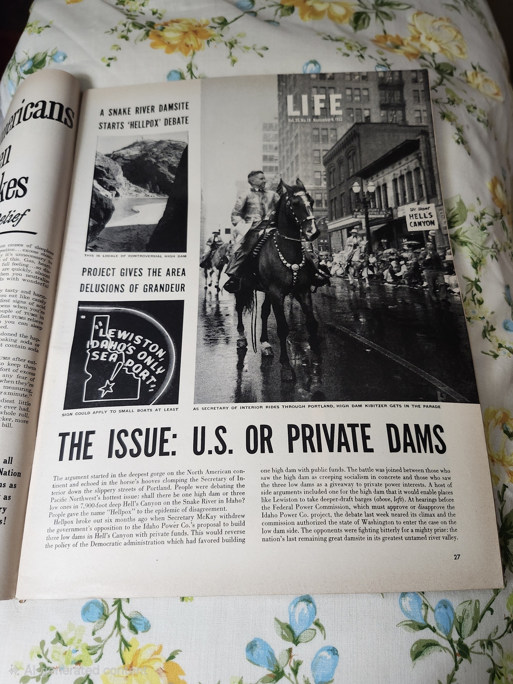 LIFE Magazine November 9, 1953-Jill Corey on the Cover - Picture 3 of 9